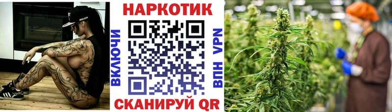 Купить наркотики Гдов Амфетамин  Меф  Cocaine 