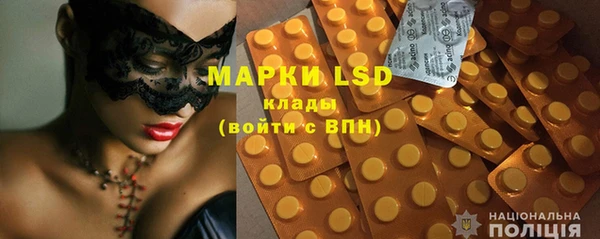 ECSTASY Алзамай