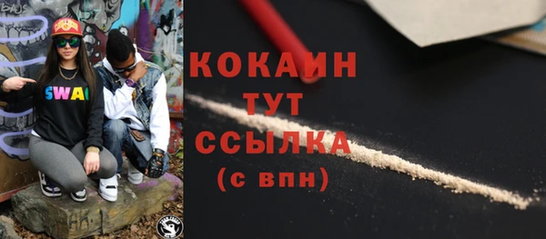 ECSTASY Алзамай