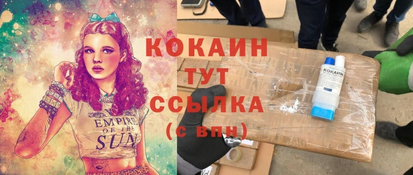 ECSTASY Алзамай