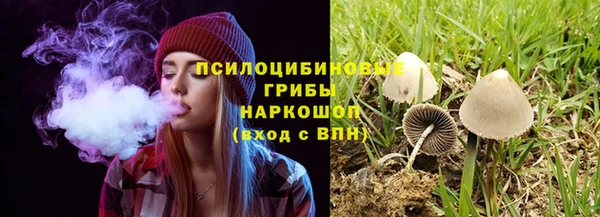 ECSTASY Алзамай